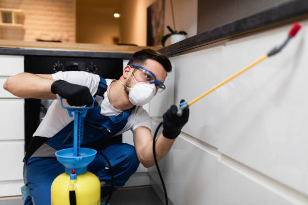 Best Exterminator Services  in Halesite, NY
