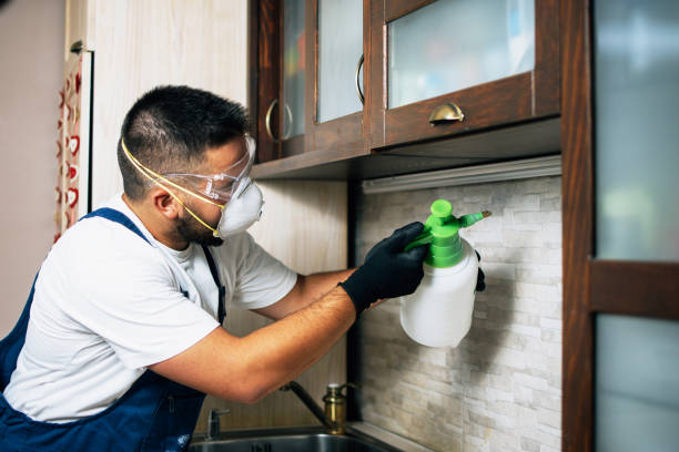 Best Mosquito Control Services  in Halesite, NY