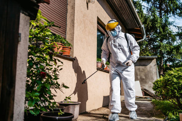 Trusted Halesite, NY Pest Control Experts