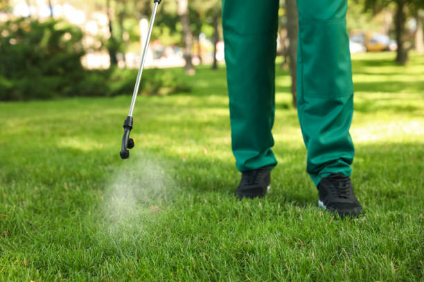 Wasp Removal Services in Halesite, NY